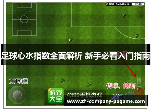 足球心水指数全面解析 新手必看入门指南