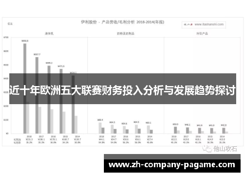 近十年欧洲五大联赛财务投入分析与发展趋势探讨
