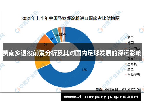 费南多退役前景分析及其对国内足球发展的深远影响