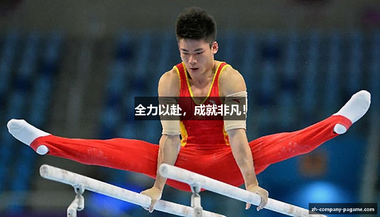 全力以赴，成就非凡！